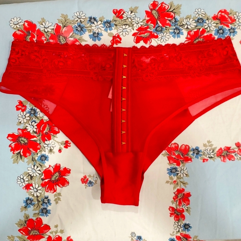 NWT VS Brazilian Cut sexy panties